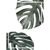 Monstera I (Colour)