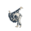 Judo fighter