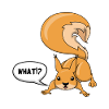 Squirrel - What!?