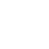racing team flag