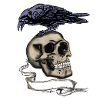 Raven Skull