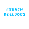 French Bulldog French Bulldog