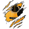 Guitare déchirée