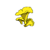 Mushrooms mushroom pickers