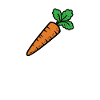Carrot carrot turnip