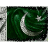 Pakistan Flag