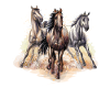 cheval
