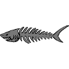 piranha skull 02