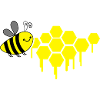 honeycomb bee