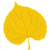 Linde Leaf