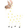 Daisy funny alpaca from flowers