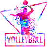 volley-