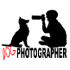 DOG PHOTOGRAPHER