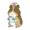 Guinea pig nurse dressed up