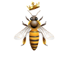 Queen bee