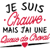 je suis chauve