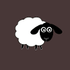 Sheep Sheep Lamb