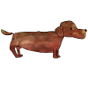 Dachshund, Dachshund