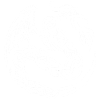 White celtic dragon