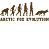 Arctic Fox Evolution