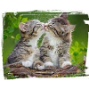 Chats