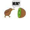 Kiwi bird funny saying