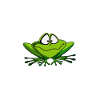 Confused frog