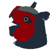 pheasant