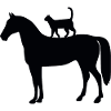 Pferd mit Katze