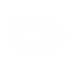 Fishing - Trout