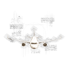 Leonardo Da Vinci's plane