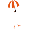 Flying goose umbrella