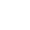 Goose Honk Honk