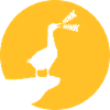 Design moon goose goose