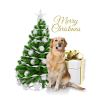Labradorinnoutaja Hyvää joulua Frohe Weihnachten