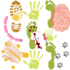 Crime scene