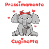 Prossimamente Cuginetta Dolce Elefante
