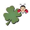 Cloverleaf with Ladybug (ladybug)