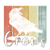 crow