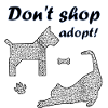 Don't shop - adopt!