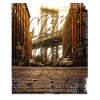 Brooklyn Ney York