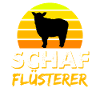 Schaf Schafe Schafflüsterer