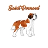 Anatomie d’un chien de Saint-Bernard