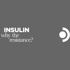WW004 INSULIN: why the resistance?