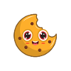 Cookie biscuit
