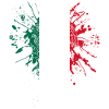 Mexico flag with eagle