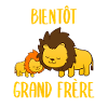 Bientôt Grand Frère