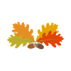 Oak leaves