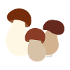 Karl Johan Mushroom