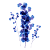 Fleur d’aquarelle Delphinium